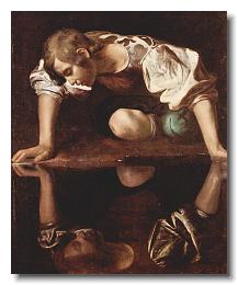 Narcissus